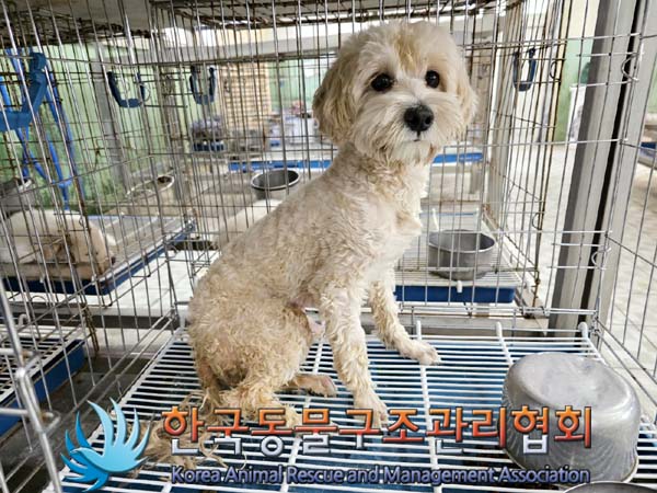 한국동물구조관리협회_411303202300233