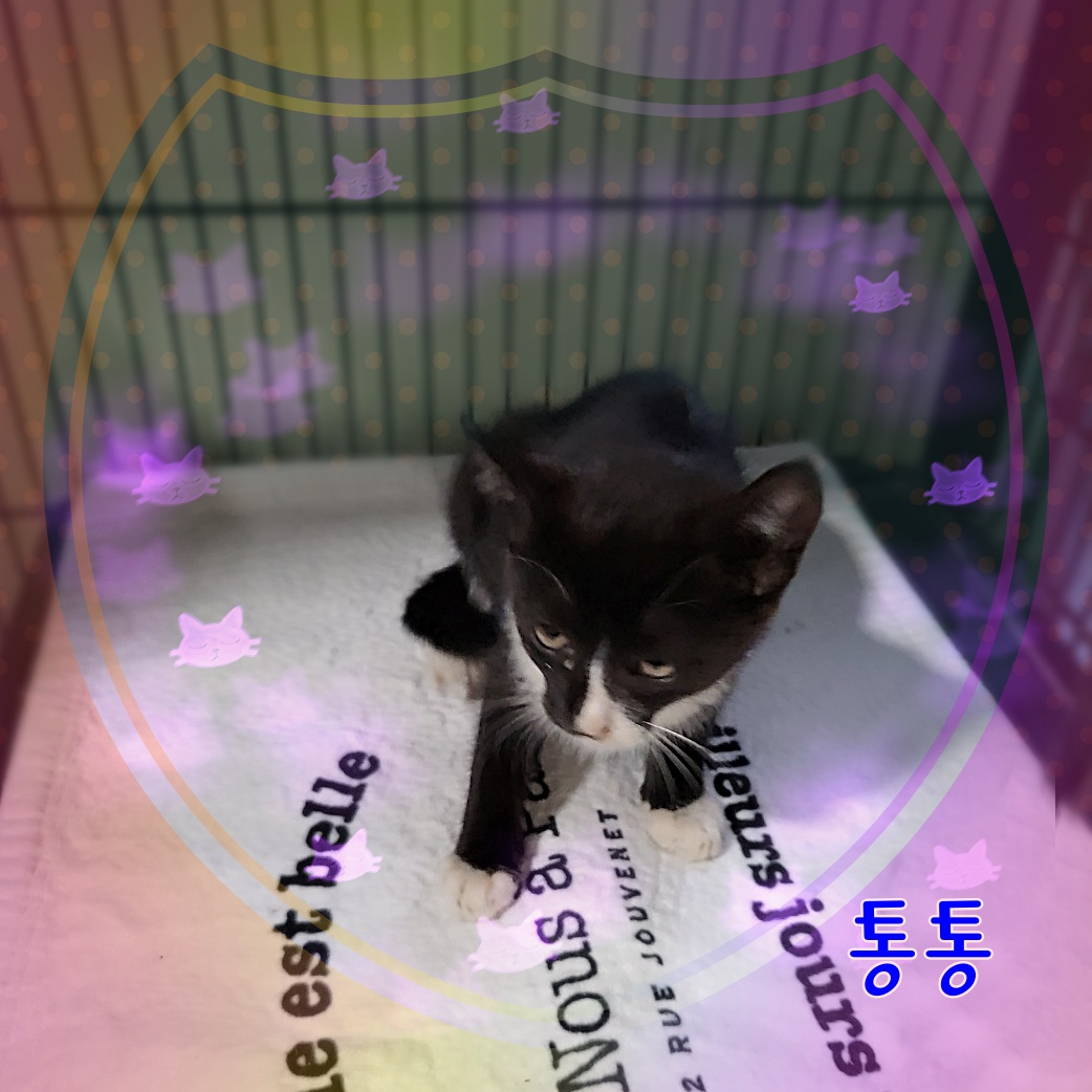 군산유기동물보호센터_445467202300935