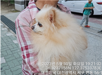 대전동물보호센터_430366202300308
