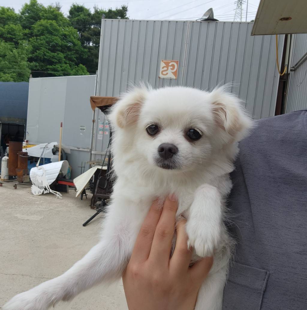 한국야생동물보호협회_441393202300922