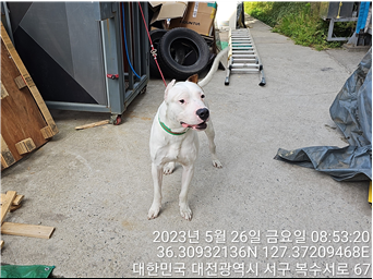 대전동물보호센터_430366202300301