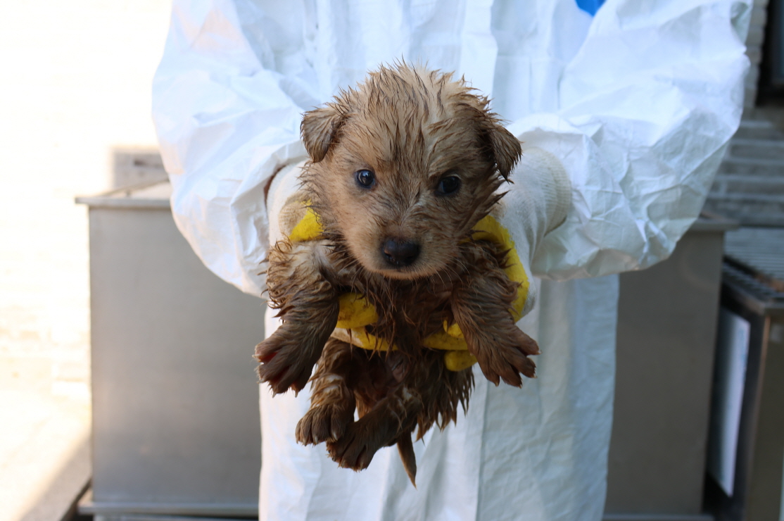 제주 동물보호센터_450650202301791