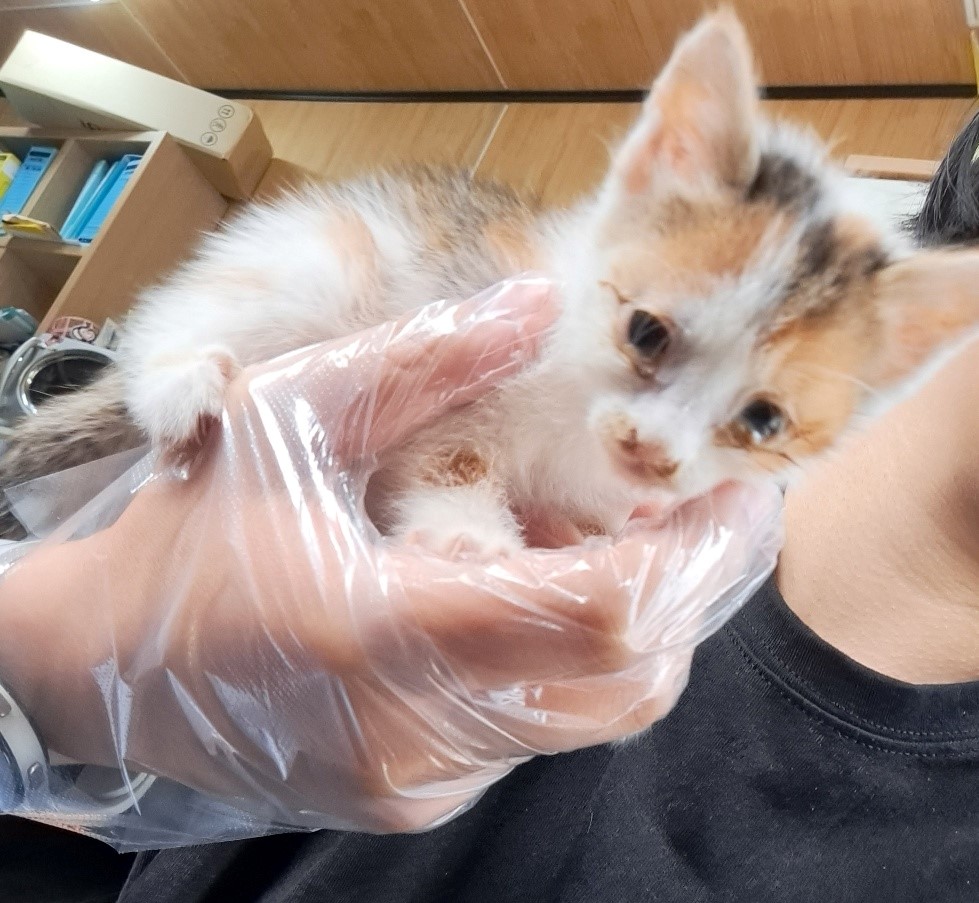 울산유기동물보호센터_431373202300561