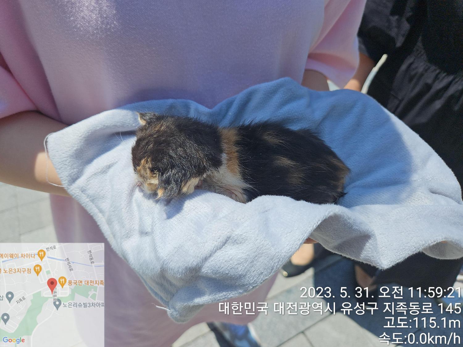 대전동물보호센터_430367202300323