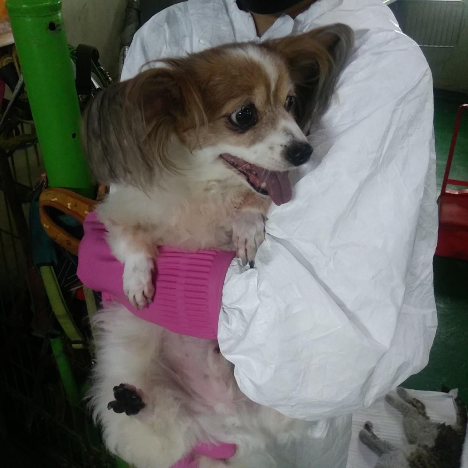 인천광역시수의사회_428353202300719