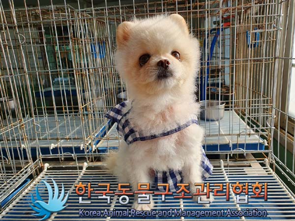 한국동물구조관리협회_411318202300244