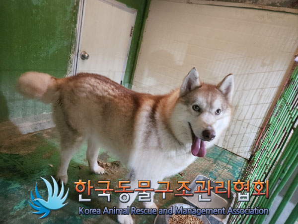 한국동물구조관리협회_441406202300781
