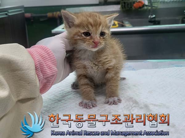 한국동물구조관리협회_411300202300183