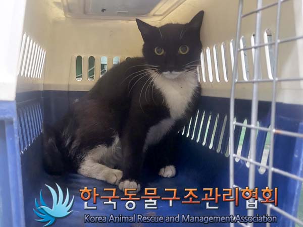 한국동물구조관리협회_411318202300246