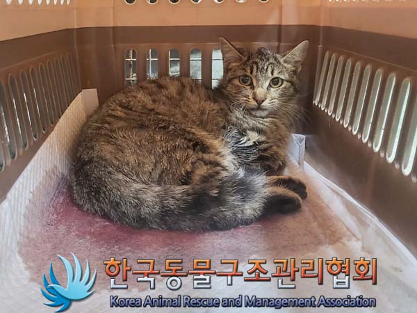 한국동물구조관리협회_441406202300780