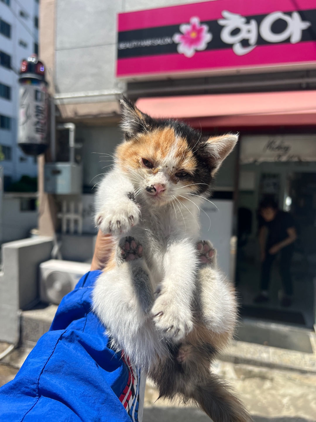 부산동물보호센터_426332202300216