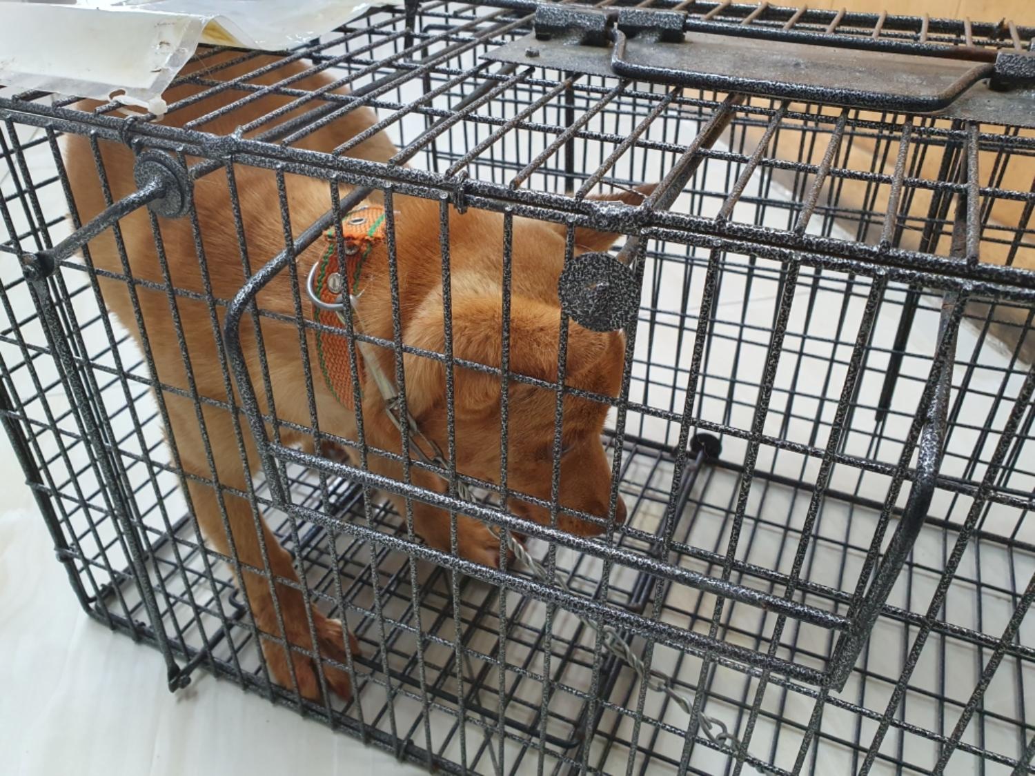 최종주동물병원_443444202300327