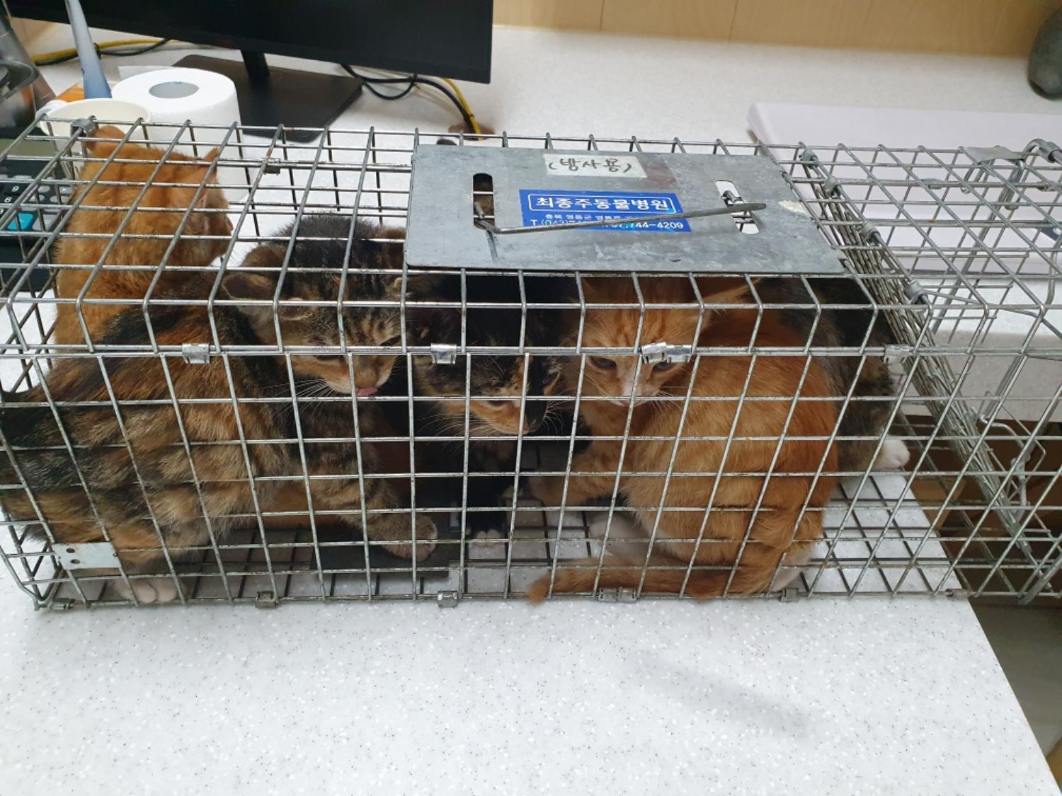최종주동물병원_443444202300328