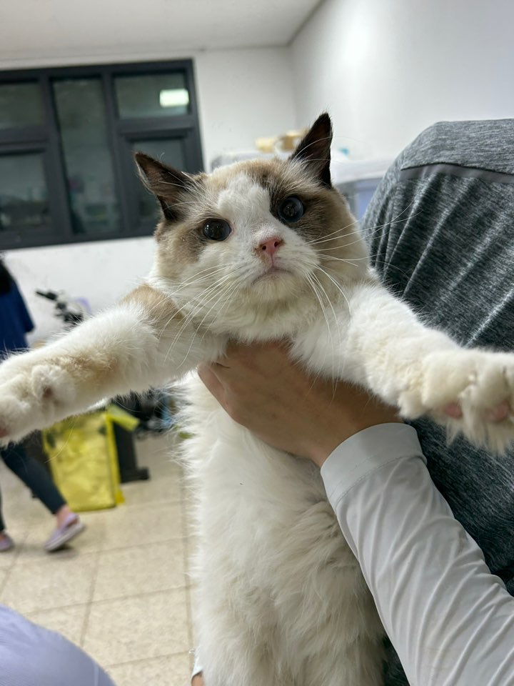 반려동물보호센터_443571202301696
