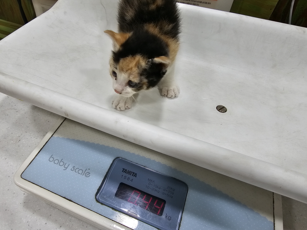 청원동물병원_445470202300471