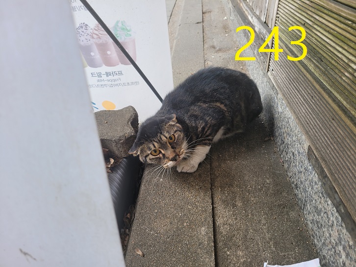 신영재동물병원_428355202300245