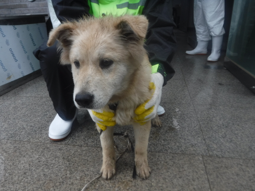 제주 동물보호센터_450650202301821