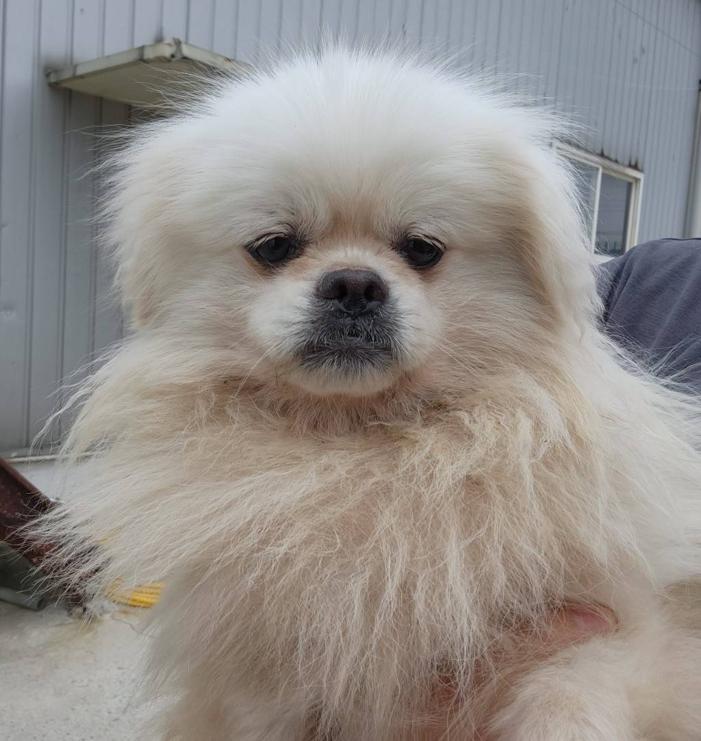 한국야생동물보호협회_441393202300926