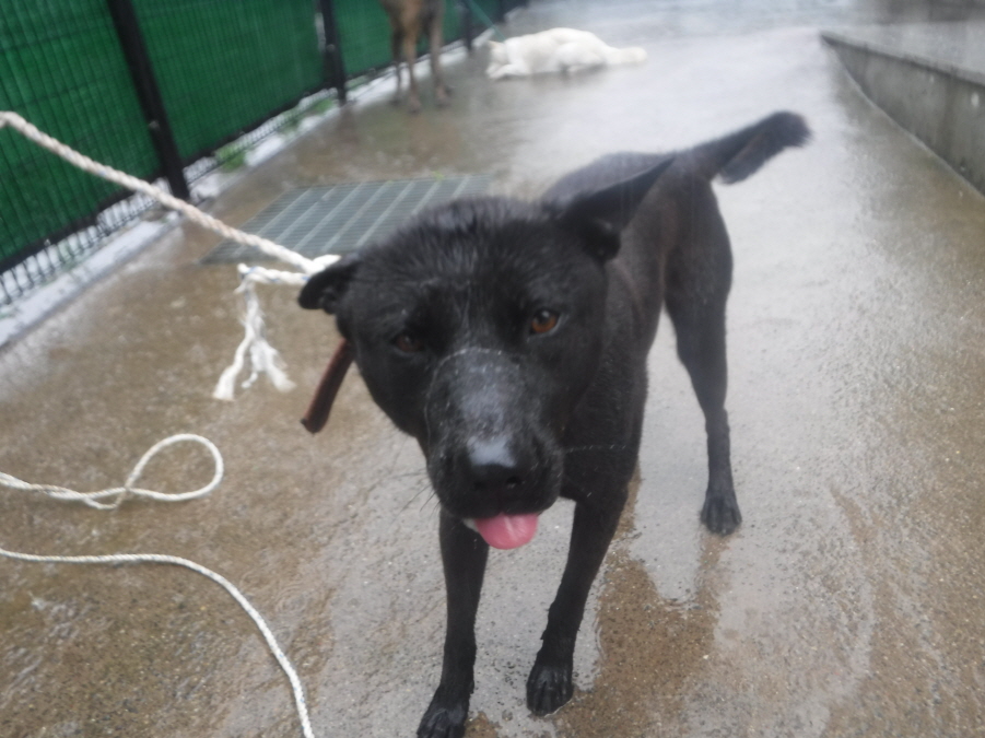 제주 동물보호센터_450650202301820