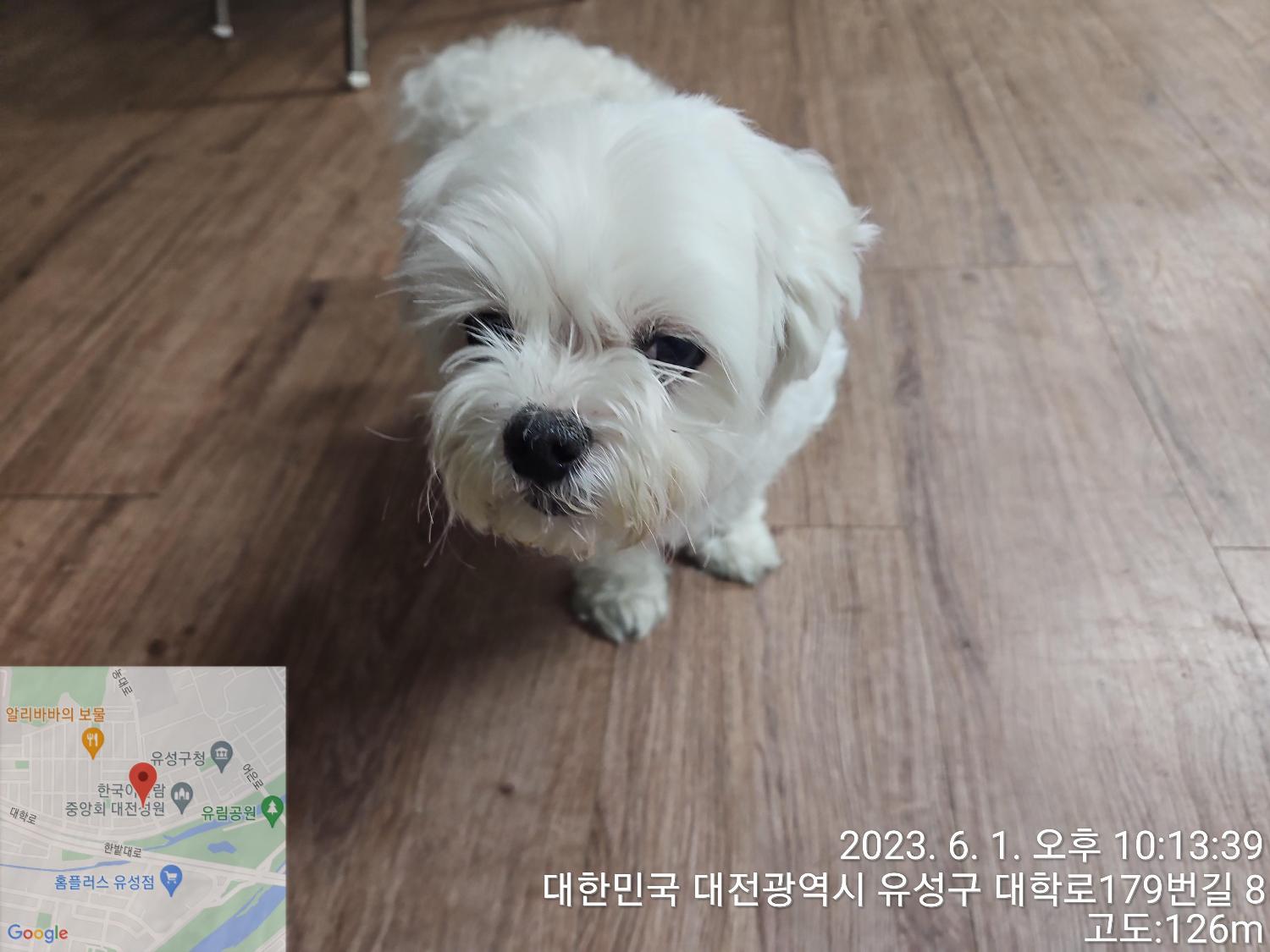 대전동물보호센터_430367202300326