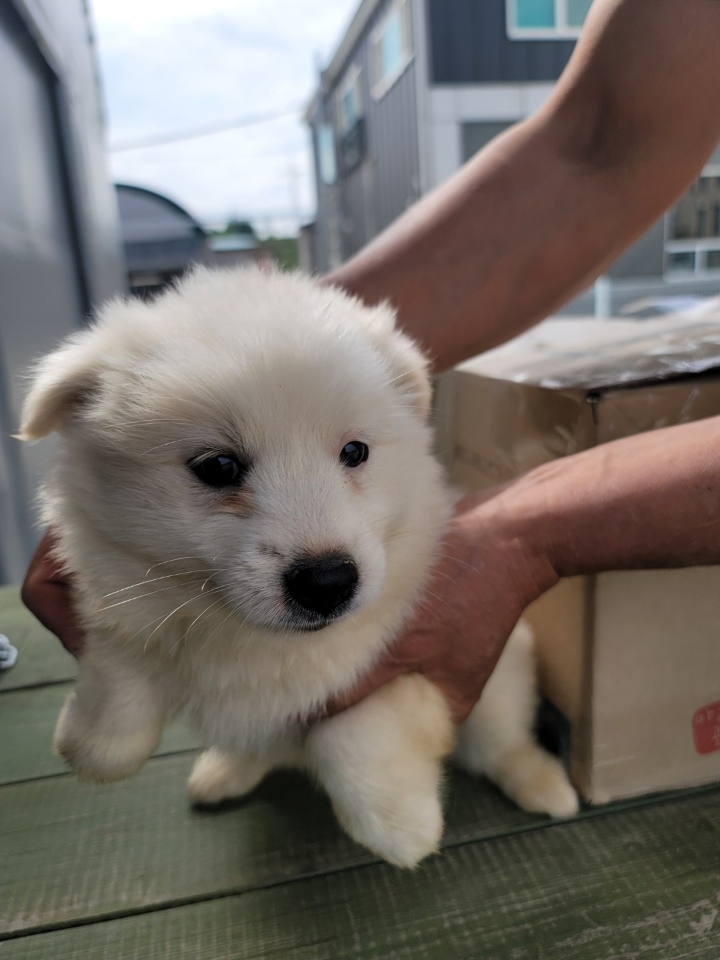 괴산증평동물보호센터_443446202300222