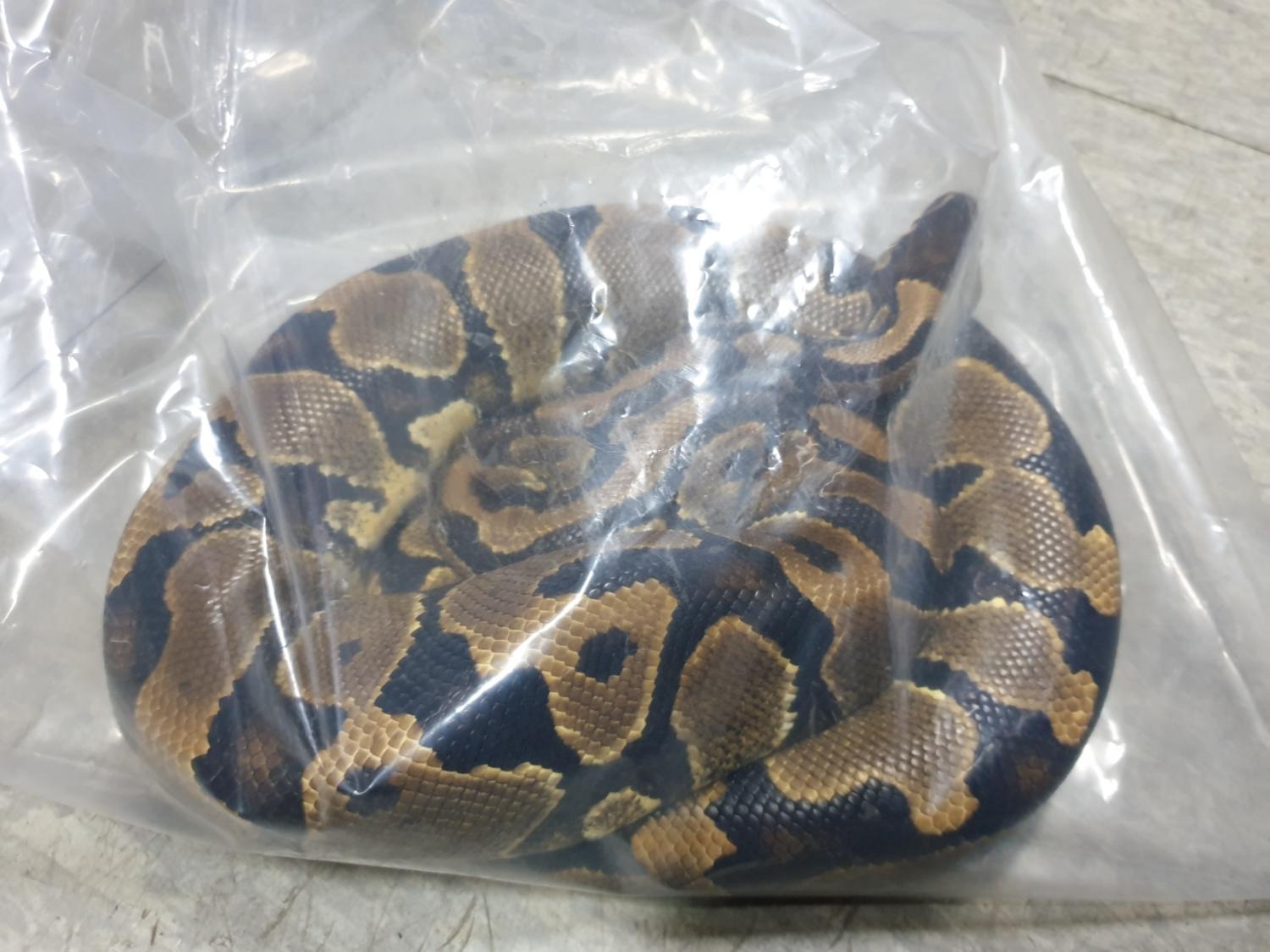 더가까운동물병원_443442202300036
