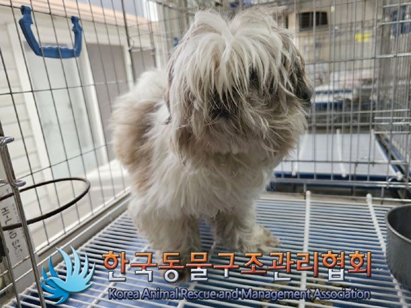 한국동물구조관리협회_411303202300241