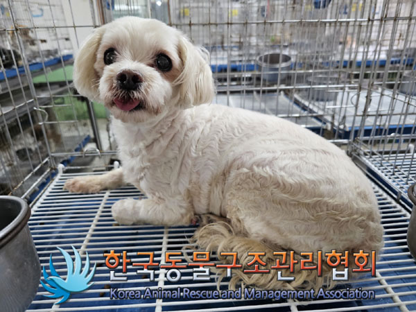 한국동물구조관리협회_441560202300702