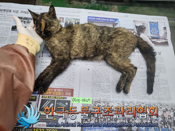한국동물구조관리협회_411300202300184