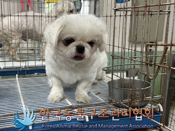 한국동물구조관리협회_441559202300410