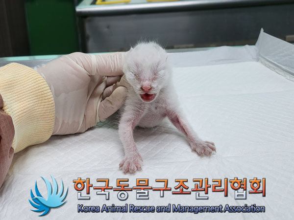 한국동물구조관리협회_411306202300402