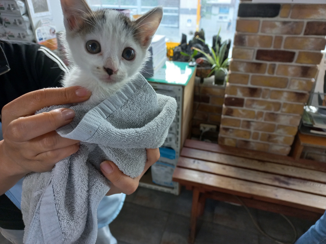 하남동물병원_441404202300300