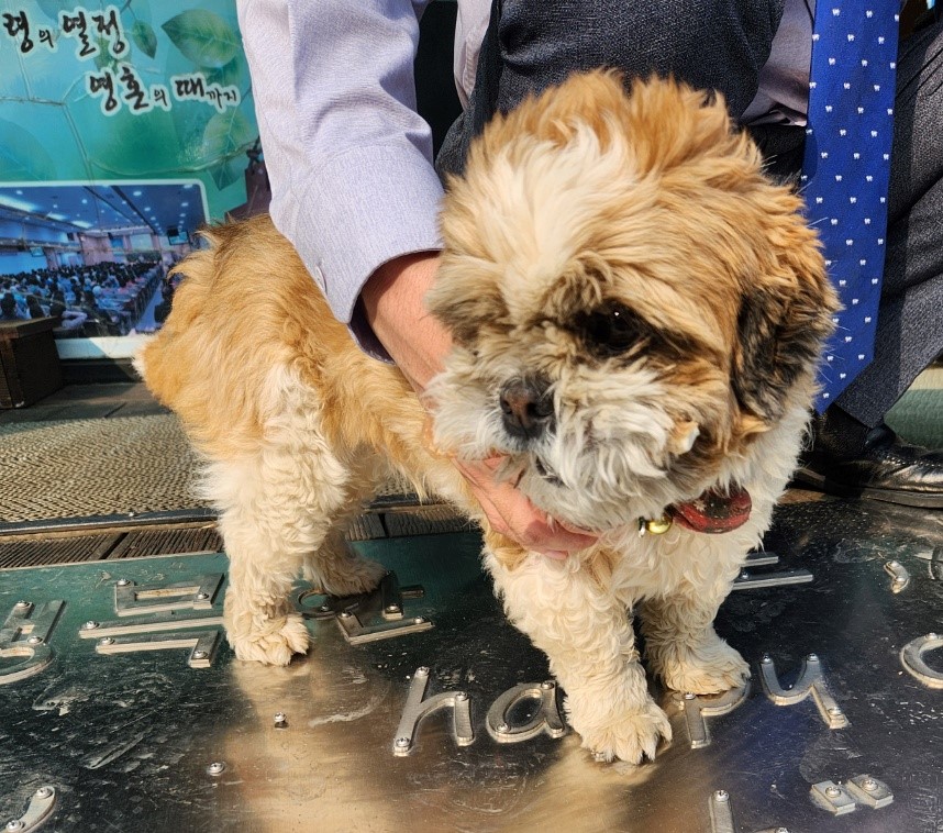 울산유기동물보호센터_431372202300273