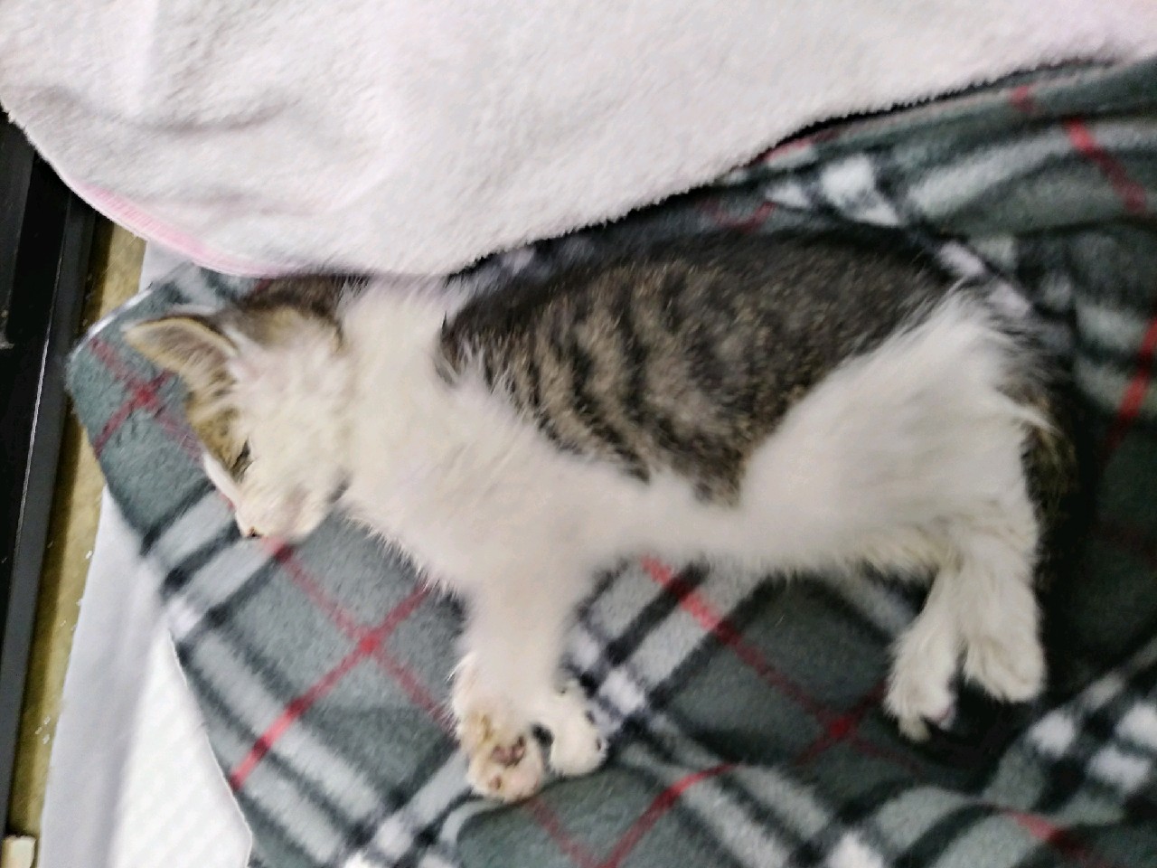 대구시수의사회(동산)_427341202300214