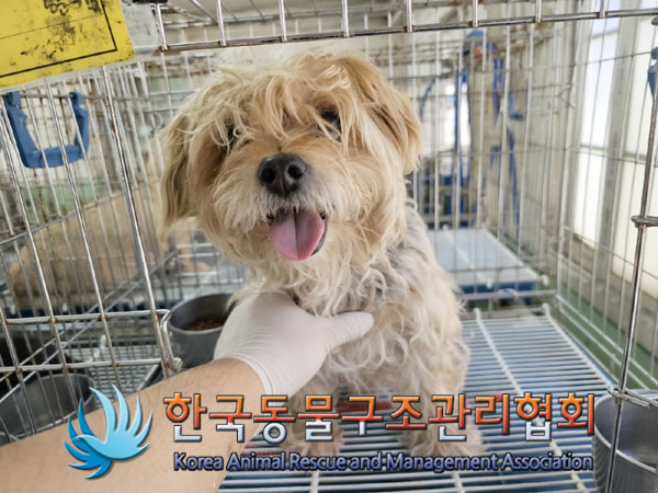 한국동물구조관리협회_441409202300886