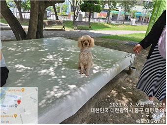 대전동물보호센터_430365202300264