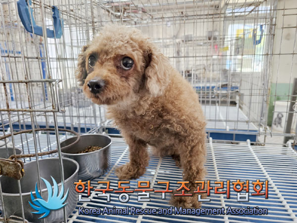 한국동물구조관리협회_411307202300204