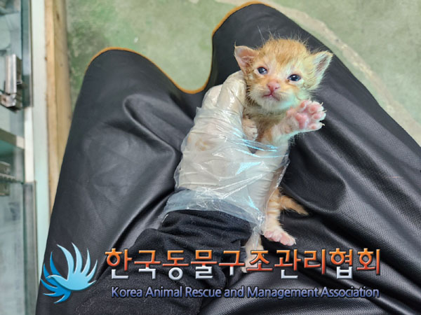 한국동물구조관리협회_411323202300531