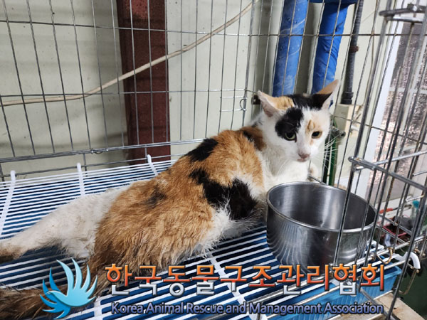 한국동물구조관리협회_411311202300467