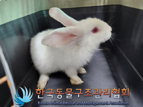 한국동물구조관리협회_411322202300363
