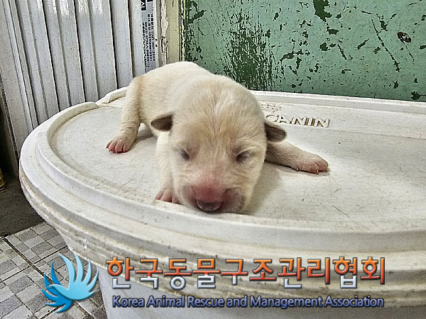 한국동물구조관리협회_441409202300891