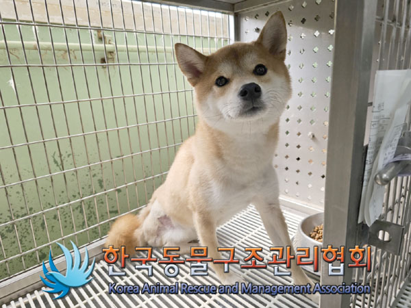 한국동물구조관리협회_411316202300381