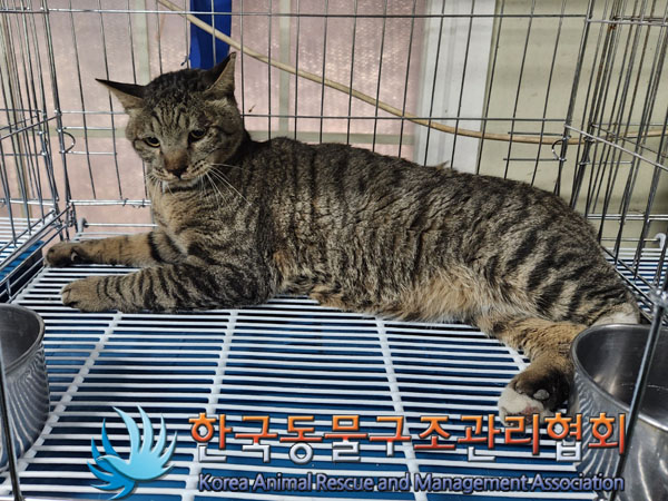 한국동물구조관리협회_411310202300253