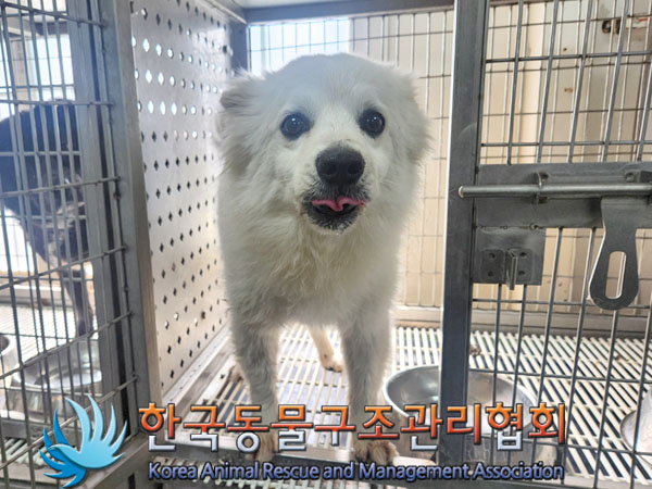 한국동물구조관리협회_411309202300209
