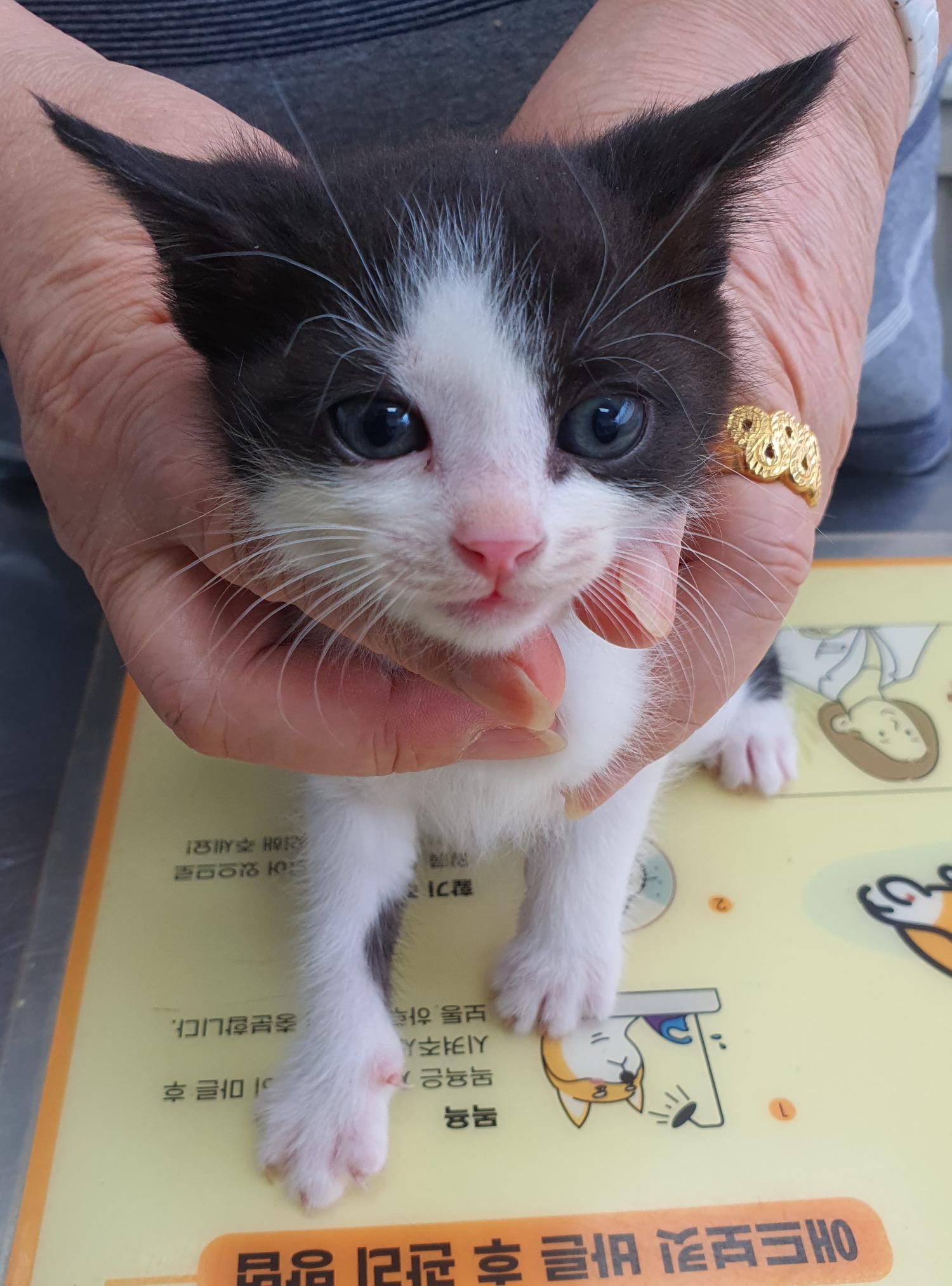 베스트동물병원_428357202300534