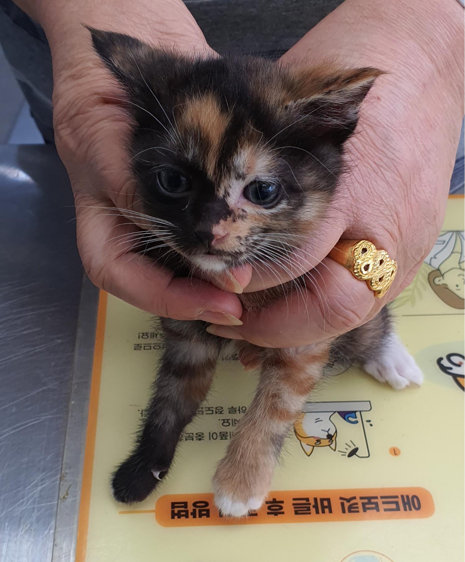 베스트동물병원_428357202300535