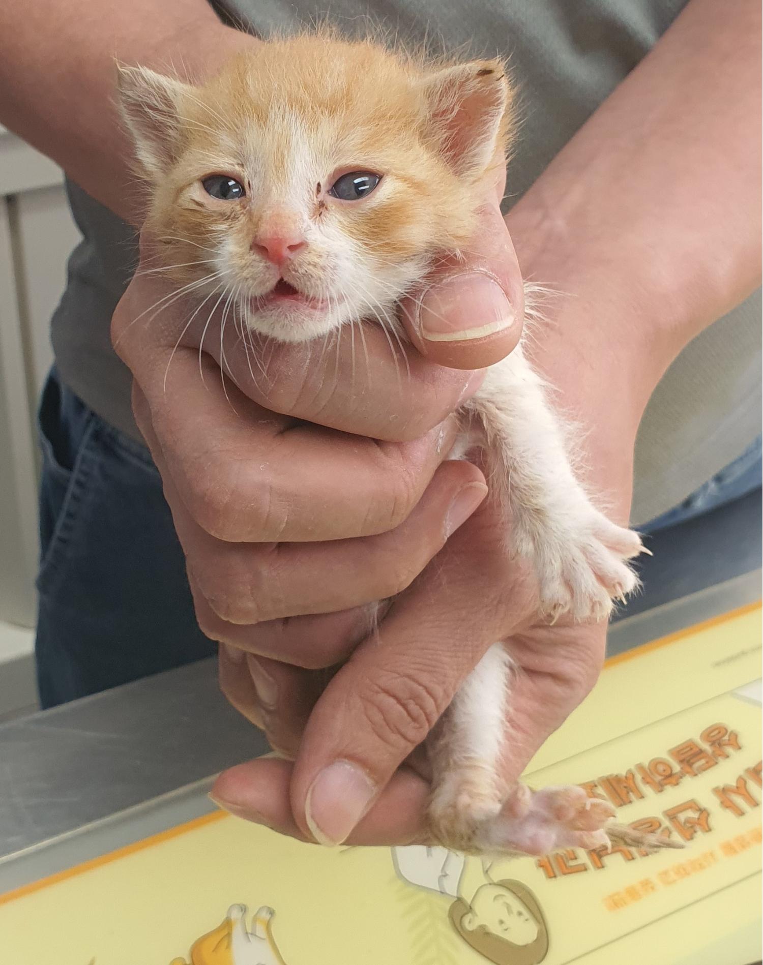 베스트동물병원_428357202300540