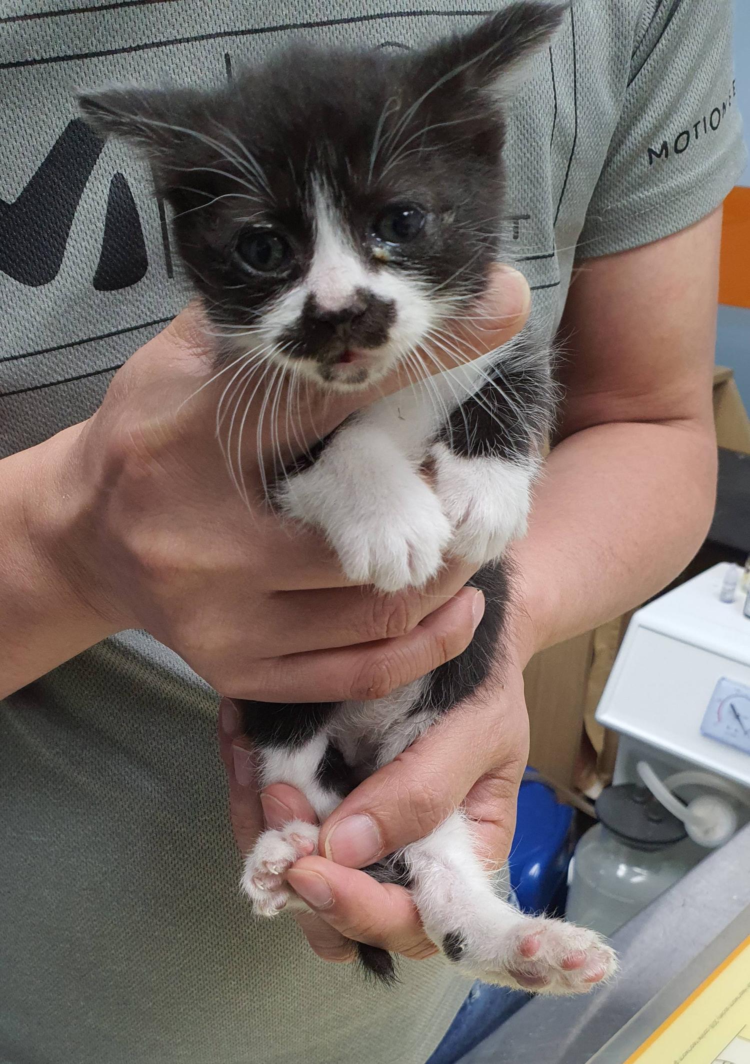 베스트동물병원_428357202300545