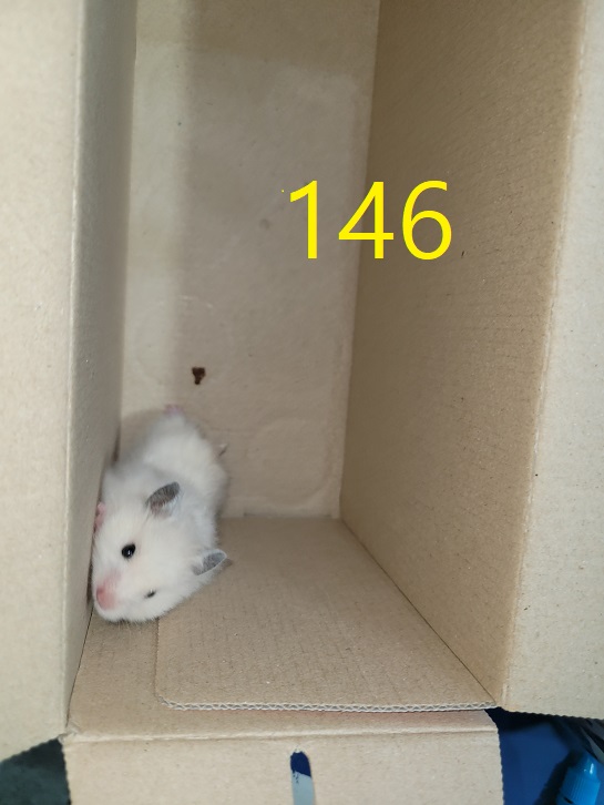 신영재동물병원_428355202300248