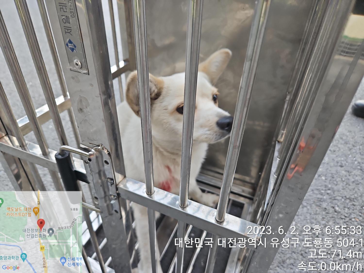 대전동물보호센터_430367202300327